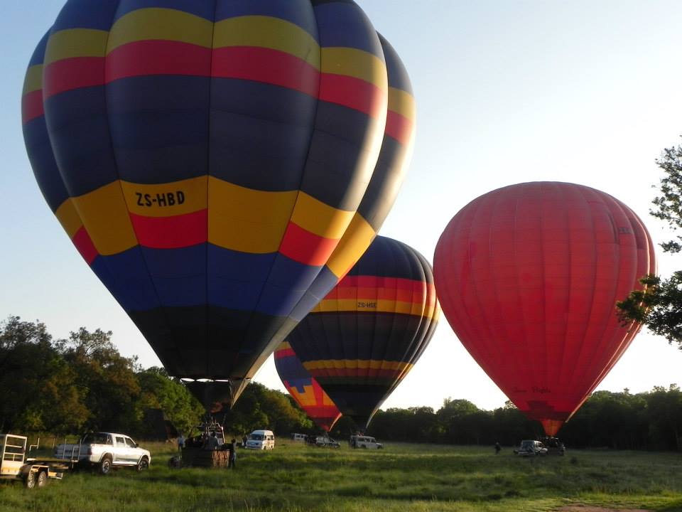 Hot Air Balloons taking off for a morning flight.