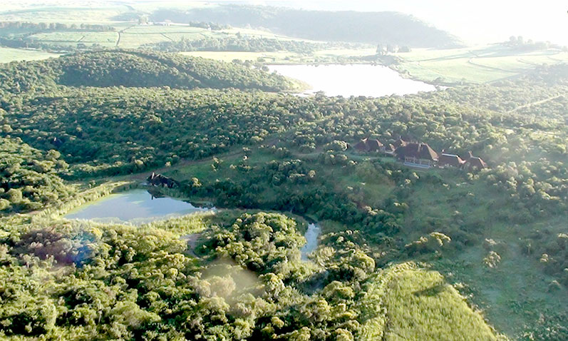 Fly over the Tala game reserve in a hot air balloon.