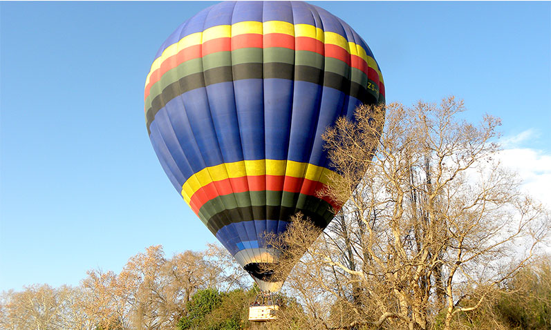 Fly over the tree tops of Toadbury Hall in a hot air balloon.