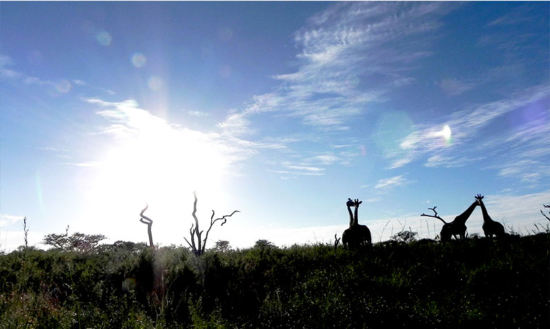 Wide horizon lighting across KwaZulu-Natal inland terrain